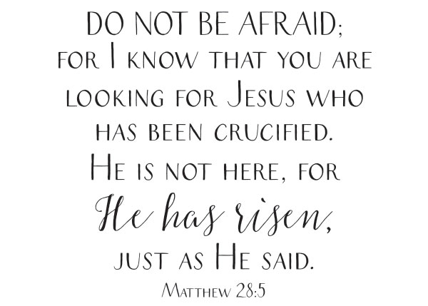 Do Not Be Afraid - He Has Risen Vinyl Wall Statement - Matthew 28:5 #2