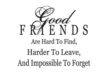 Good Friends Are Hard to Find Vinyl Wall Statement #2