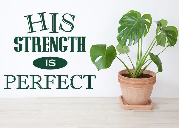 His Strength Is Perfect Vinyl Wall Statement