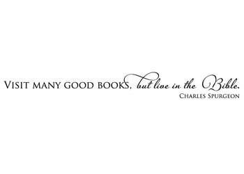 Visit Many Good Books Vinyl Wall Statement #2